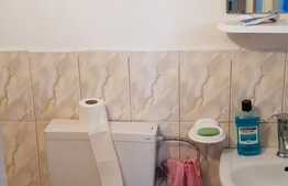 Apartament 2 camere, la casa individula, cu curte, zona Auchan 