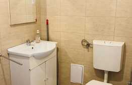 Apartament tip studio, 45 mp, mobilat modern, gradina comuna, prima inchiriere, zona Piata Unirii