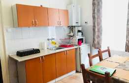 Apartament tip studio, 45 mp, mobilat modern, gradina comuna, prima inchiriere, zona Piata Unirii