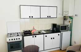 2 camere, 60 mo, mobilat modern, prima inchiriere, gradina comuna, zona Piata Unirii