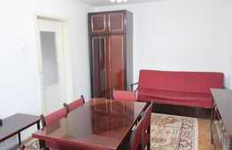 Apartament 2 camere, 42 mp, zona Parcului Central