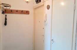 Apartament 2 camere, 42 mp, zona Parcului Central