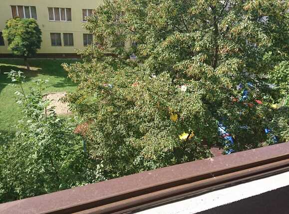 Apartament de vânzare 3 camere Manastur - 34238AV | BLITZ Cluj-Napoca | Poza9