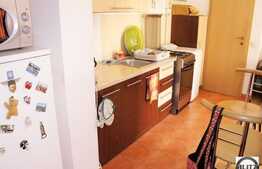 Apartament cu 2 camere de inchiriat 55 mp + terasa 7 mp
