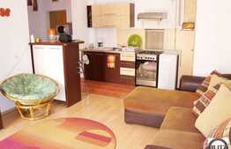 Apartament cu 2 camere de inchiriat 55 mp + terasa 7 mp