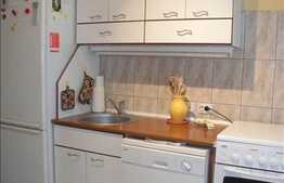 107 mp in zona Plopilor