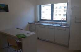 Garsoniera 29 mp, parcare, mobilata modern, zona strazii Eugen Ionesco