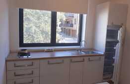 Garsoniera 29 mp, parcare, mobilata modern, zona strazii Eugen Ionesco