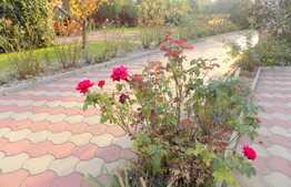 Casa individuala de 230 mp utili, teren de 1400 mp, front 26 ml!