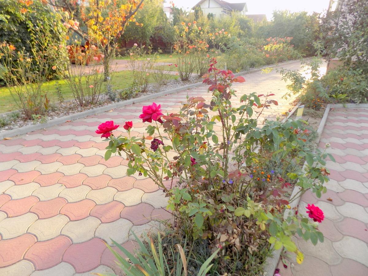 Casa de vânzare 5 camere Floreşti - 34287CV | BLITZ Cluj-Napoca | Poza18