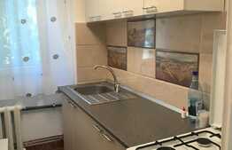 Apartament 2 camere, 40 mp, totul nou, prima inchiriere, zona Casa Radio!