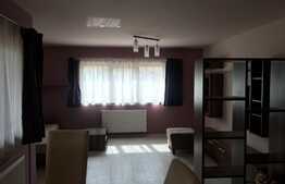 Apartament 2 camere, 58 mp, mobilat modern, parcare, zona strazii Bibescu