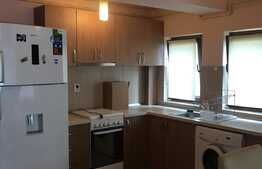 Apartament 2 camere, 58 mp, mobilat modern, parcare, zona strazii Bibescu