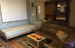 Garsoniera, 29 mp, etaj intermediar, zona Mercur