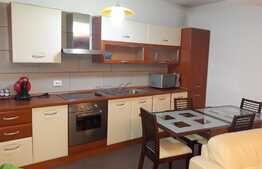 Apartament 2 camere, 70 mp, parcare, mobilat modern, zona Complex Plopilor Vest