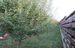 De vanzare casa individuala la cheie, 202 mp, teren 1000 mp, Exterior Nord!