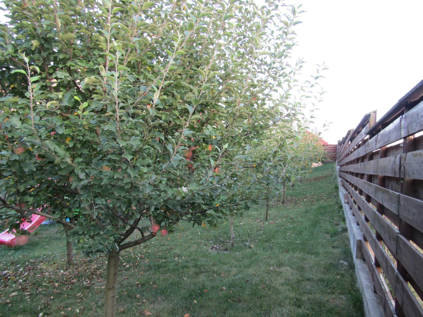 Casa de vânzare 4 camere Exterior Nord - 34308CV | BLITZ Cluj-Napoca | Poza5