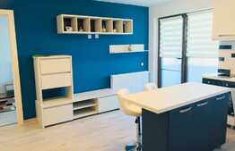 Apartament cu 2 camere, totul nou, prima inchiriere, imobil nou, garaj, zona strazii Muresului