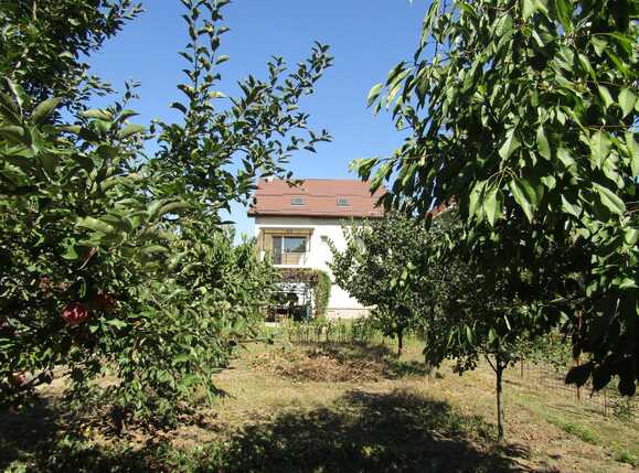 Casa de vânzare 7 camere Someseni - 34347CV | BLITZ Cluj-Napoca | Poza14