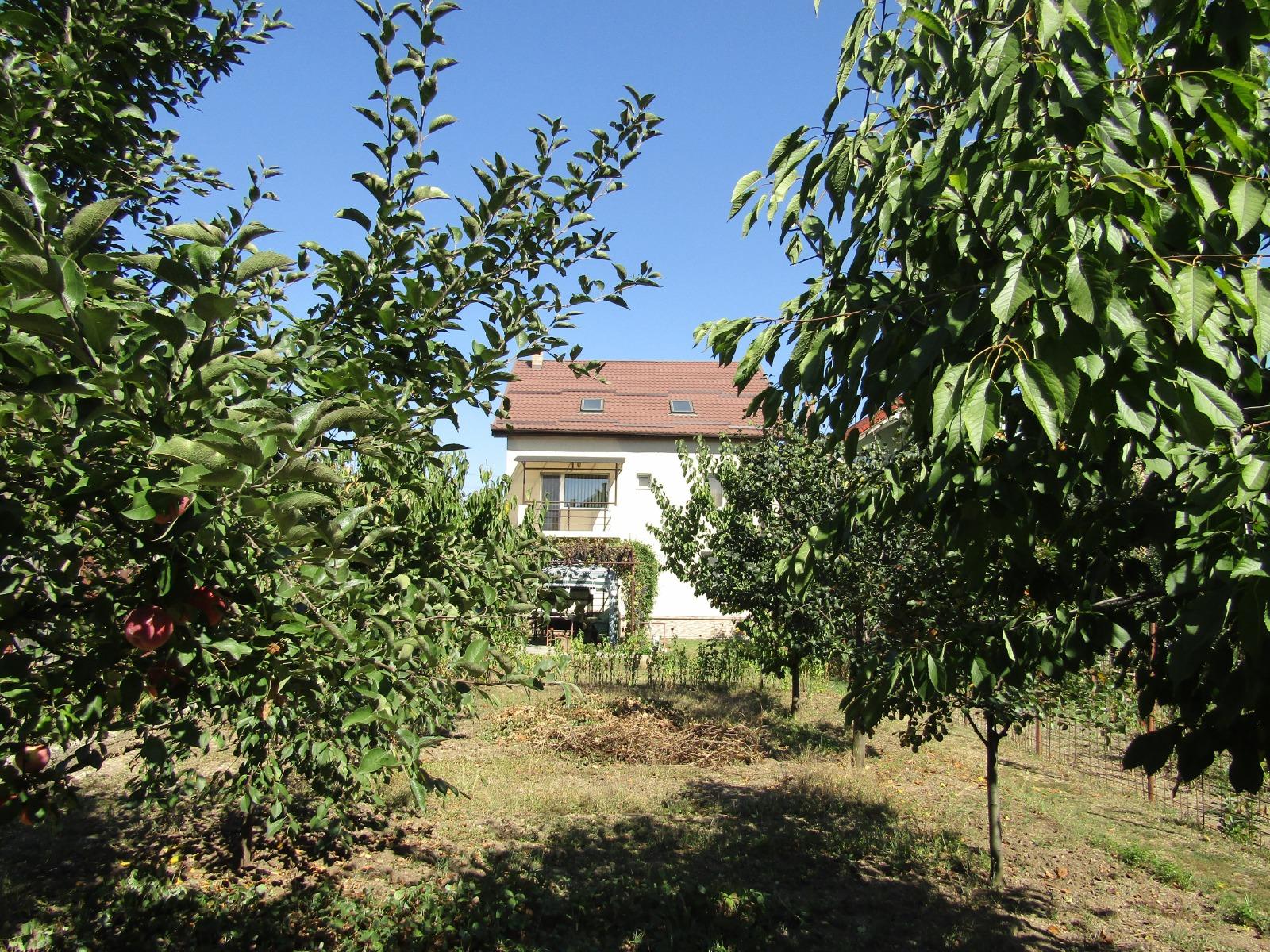 Casa de vânzare 7 camere Someseni - 34347CV | BLITZ Cluj-Napoca | Poza14