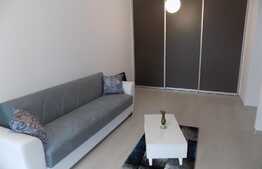 Apartament 2 camere, 55 mp, decomandat, prima inchiriere, imobil nou, A.C. , terasa, parcare, zona Grand Park Residence