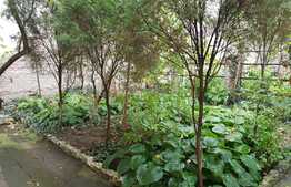 Apartament de vanzare, 29.6 mp de gradina, interbelic, zona Regionala CFR!