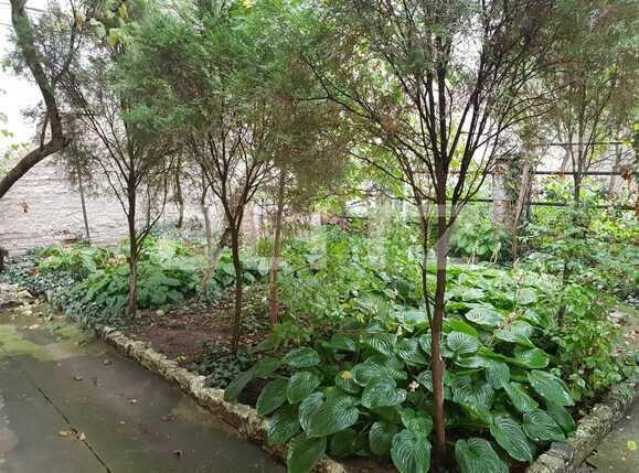 Garsonieră de vânzare Central - 34367AV | BLITZ Cluj-Napoca | Poza7