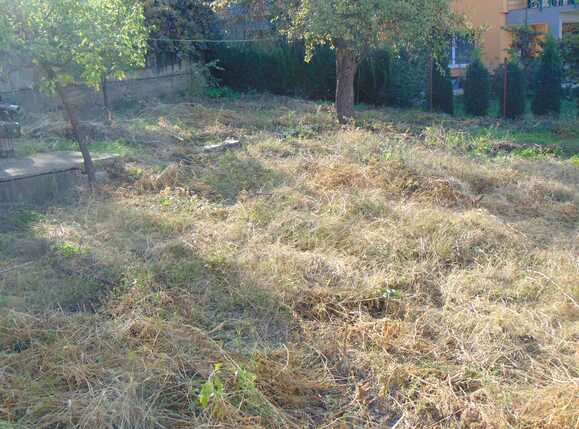 Casa de vânzare 2 camere Andrei Mureşanu - 34370CV | BLITZ Cluj-Napoca | Poza4