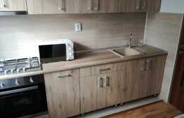 Apartament cu 2 camere, 55 mp, zona Iulius Mall