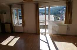 Apartament 2 camere, 45 mp, zona Stejarului