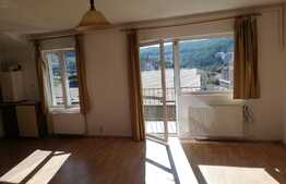 Apartament 2 camere, 45 mp, zona Stejarului