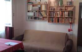 Apartament de vanzare 2 camere, 33,44 mp, zona strazii Constantin Brancusi!