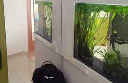 Apartament 2 camere, 63 mp, la cheie, zona Lidl