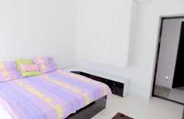 Duplex de 185 mp, teren de 200 mp, garaj! Zona strazii Teilor!