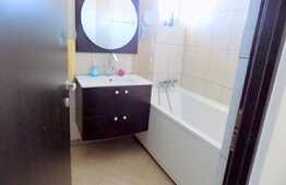 Duplex de 185 mp, teren de 200 mp, garaj! Zona strazii Teilor!