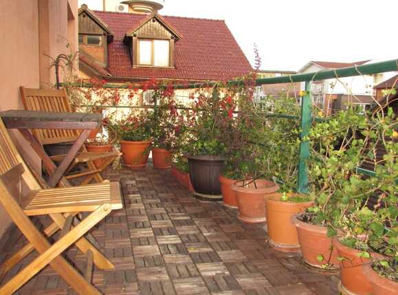 Apartament de închiriat 4 camere Zorilor - 34457AI | BLITZ Cluj-Napoca | Poza13