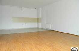 Apartament 3 camere, decomandat, 114 mp utili, aproape de Parcul Babes