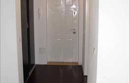 Apartament cu dotari lux in Buna Ziua!