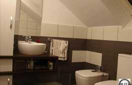 Apartament cu dotari lux in Buna Ziua!