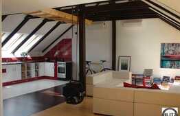 Apartament cu dotari lux in Buna Ziua!