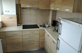 Apartament cu 2 camere, 45 mp, parcare, pet friendly, zona Citadela Residence