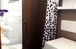 Apartament 2 camere, 40 mp, zona strazii Republicii