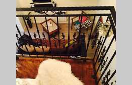 Apartament 1 camera cu mezanin, 43 mp, ULTRACENTRAL, zona Librariei Universitatii 