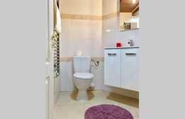 Apartament 1 camera cu mezanin, 43 mp, ULTRACENTRAL, zona Librariei Universitatii 