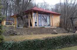 Casa din padure, 270 mp, 1.600 mp teren, zona de vile, panorama!