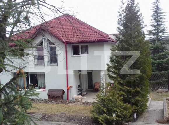 Casa de vânzare 4 camere Făget - 34517CV | BLITZ Cluj-Napoca | Poza1
