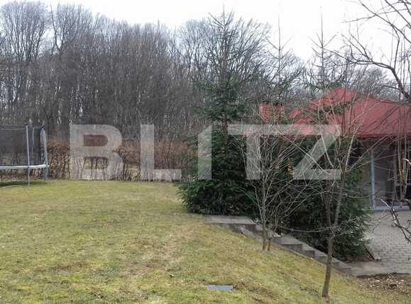 Casa de vânzare 4 camere Făget - 34517CV | BLITZ Cluj-Napoca | Poza3