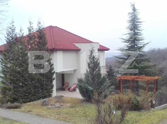 Casa de vânzare 4 camere Făget - 34517CV | BLITZ Cluj-Napoca | Poza2