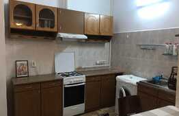 Apartament 2 camere, 45 mp, 2 parcari, zona Calea Motilor!