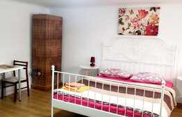 Garsoniera cocheta, 32 mp, zona ultracentrala!